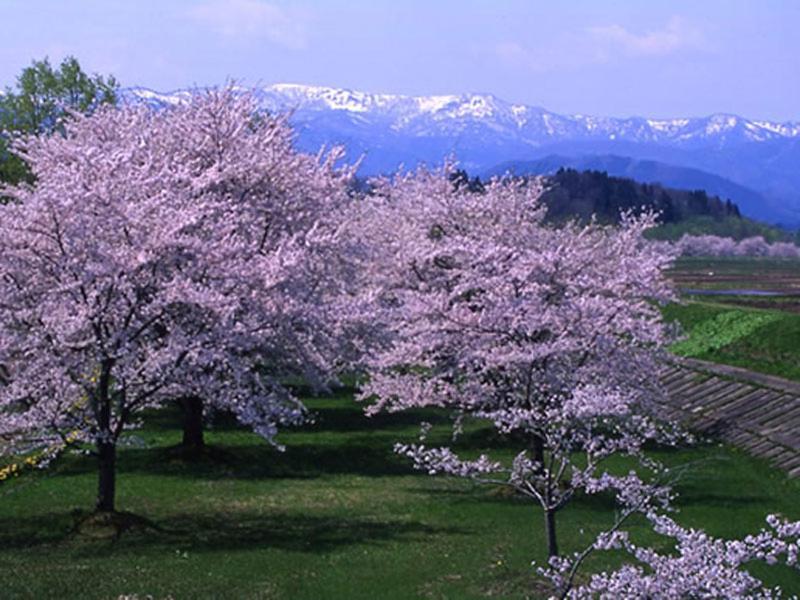 Onsen Minsyuku Akebonosou Morioka Dış mekan fotoğraf